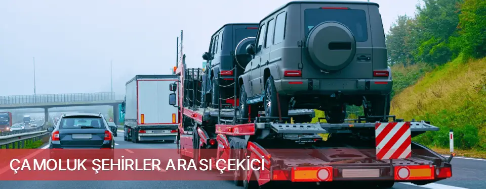 Çamoluk İlçemi Şehirler Arası Çekici